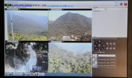 森林防火视频监控,实时守护绿色家园的科技防线